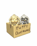 pic for Puppy Giveaway